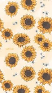 Sunflower Wallpaper Animated Search free cartoon ringtones and wallpapers on zedge and personalize your phone to suit you. sunflower wallpaper animated