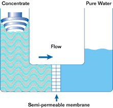 Lưu trữ Thẩm thấu ngược RO - D-Intec