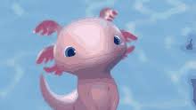 Check spelling or type a new query. Axolotl Gifs Tenor