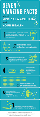 Don't make the mistake of thinking that you're too young to consider your health care needs. Amazing Facts About Marijuana And Your Health Marijuana Doctors Online Medical Card Directory