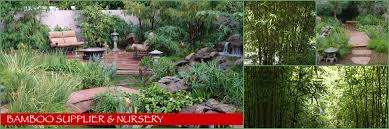 Planning or import wooden or bamboo products to the united states? Tempe Bamboo Nursery Kona Landscape Bamboo Supplier