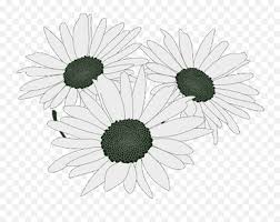 Free Free Vector Flower Bouquet Svg SVG PNG EPS DXF File