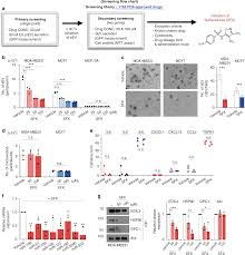 sulfisoxazole inhibits the secretion of small extracellular