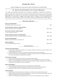 linkedin project manager and