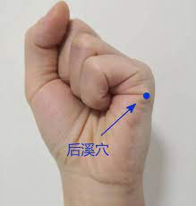 手上一奇穴，让你肝血充足眼睛亮，现在揉效果最好！_手机搜狐网