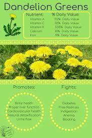 Pin On Homesteading And Sustainability