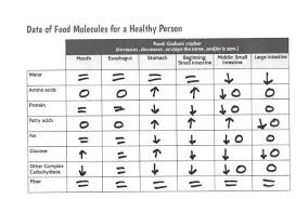 We did not find results for: Where Does Digestion Occur Nsta
