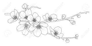 We did not find results for: Cute Hand Drawn Isolated Sakura Branch Set 2 Flower Vector Illustration Royalty Free Cliparts Vectors And Stock Illustration Image 100523893