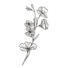 Black and white flowers pictures. Black White Botanical Collection Botanical Illustration Studio By Anna Farba