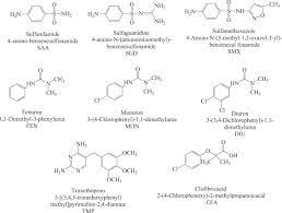 The principle of operation and manufacturing techniques are introduced for a calorimetric h 2 o 2 gas sensor based on porous mno. Use Of Bovine Catalase And Manganese Dioxide For Elimination Of Hydrogen Peroxide From Partly Oxidized Aqueous Solutions Of Aromatic Molecules Unexpected Complications Sciencedirect