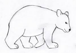 Image Result For How To Draw Animals Easy Polar Bear Step By Step Bear Drawing Bear Art Animal Drawings
