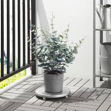 Boysenbar Ubertopf Drinnen Draussen Hellgrau Ikea Osterreich In 2020 Artificial Potted Plants Eucalyptus Plant Indoor Indoor Plants