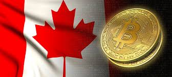Learn how to buy bitcoin in canada. How To Buy Bitcoin In Canada Complete Beginner S Guide