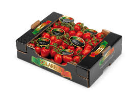 Image result for tomato Piccadilly