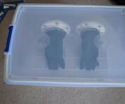 Glove Box | Orchid Seeds, Orchids, Sowing