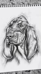 Miles King On Tiktok Animal Drawings Drawings Realistic Animal Drawings