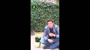 We did not find results for: Euonymus Japonicus Paloma Blanca Peter Talks Concept Plants Youtube