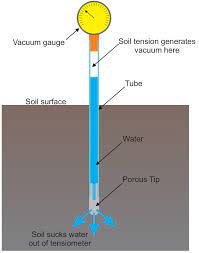 Maybe you would like to learn more about one of these? Measuring Soil Moisture Soilmoisture S Blog