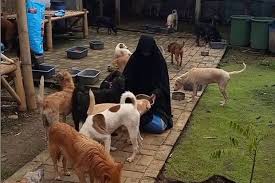 Maybe you would like to learn more about one of these? Hukum Memelihara Anjing Menurut Pandangan Islam