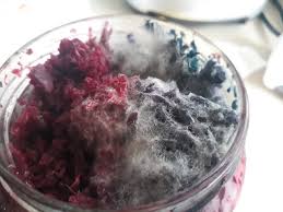 Mold, like any other life form, needs water to grow. Mold In Storage Itectec
