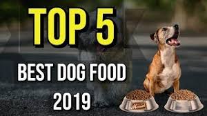 How to choose the best puppy food. Top 5 Best Dog Food 2019 Youtube
