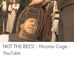 The best nicolas cage memes on the internet. Not The Bees Nicolas Cage Youtube Nicolas Cage Meme On Me Me