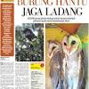 Gambar mewarnai gambar burung hantu dewasa terbaru elang sumber : Https Encrypted Tbn0 Gstatic Com Images Q Tbn And9gcsnn7amqqwxihxr3i7 Ahscxns7 1hs19wl1cvgiye Usqp Cau