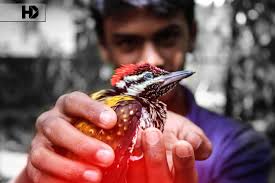 Profile for H.D Creations