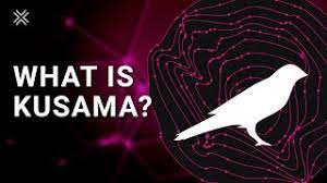 How to safely store kusama coin? What Is Kusama Ksm And How Is It Different From Polkadot