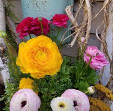 Multiple wholesale locations throughout the midwest & south. Florist Denny Wiggers Garden Center Paramus Nj