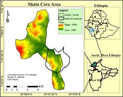 Image result for Erythrococca trichogyne
