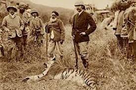 History of the Tiger in India - Tiger ...