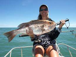 Huge Fish In Karumba Point Sunset Caravan Park Accommodation Cabins Hotels Travel Tourism Fishing Fishing Australia Fishing Girls Fishing Charters