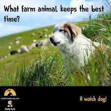 What Farm Animal Keeps The Best Time A Watch Dog Kid Friendly Jokes Animal Puns Funny Cute Jokes