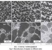 Effects of Heat Treatment Process on Microstructure and ...