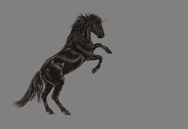 Pourquoi ne pas vivre pleinement votre passion en invitant la licorne dans votre quotidien ? La Licorne Noire Licorne Kawaii
