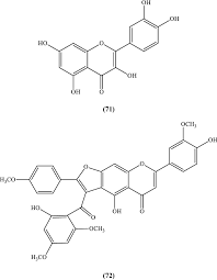Image result for Cissampelos torulosa