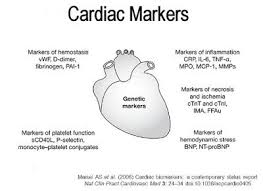 Medical Laboratory And Biomedical Science Nt Probnp And Cardiac Troponin T For Cvd Risk Assessment Medical Laboratory Cardiac Biomedical Science