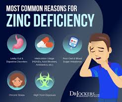 Zinc has been studied to help in. 15 Zinc Deficiency Symptoms And Best Food Sources Drjockers Com