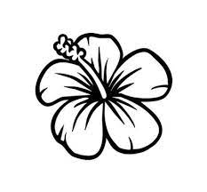 Find & download free graphic resources for hawaiian flower. Easy To Draw Hawaiian Flowers Hawaiian Flower Drawing Hibiscus Drawing Hibiscus Flower Tattoos