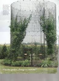 Check spelling or type a new query. 25 Wall Climbing Plants Ideas Climbing Plants Plants Wall Climbing Plants
