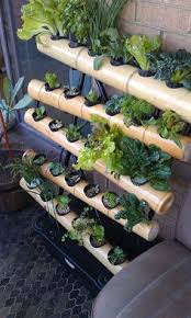 Learn more about this here. 20 Hydroponic Designs Ideas Hydroponics Aquaponics Hydroponic Gardening