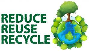 Use those shells to create shell. Earth Day Every Day For Canterbury Kids Christchurch City Libraries