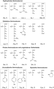 Usage on de.wikibooks.org lehrbuch der biochemie: Aminosauren Peptide Proteine Und Nucleinsauren Springerlink