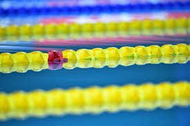 784 likes · 929 talking about this. Qfavubidlj0hjm