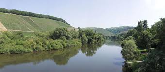Sterntour Rund Um Trier Tour 3 Rundtour Auf Dem Mosel Und Saar Radweg Uber Saarburg Nach Trier