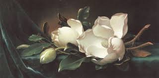 Martin Johnson Heade Magnolia Blossoms On Blue Velvet Painting Anysize 50 Off Magnolia Blossoms On Floral Oil Paintings Martin Johnson Heade Martin Johnson