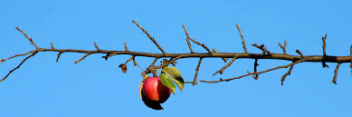 Facebook kapağı için dünyaca ünlü arabaların harika fotoğrafları ve resimleri. En Guzel Facebook Ve Twitter Kapak Fotograflari 1 Facebook Twitter Kapak Fotograflari