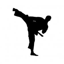 Martial Art Fighting 03930 Martial Arts Martial Taekwondo Girl