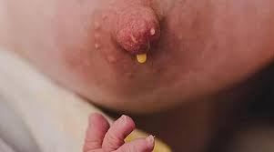 How To Express Colostrum During Pregnancy And Why You Should Do It Milkbar Breastpumps